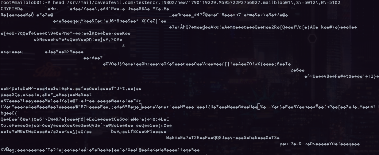 The same view of a message in an encrypted mailbox: it starts with CRYPTED and the rest is unreadable